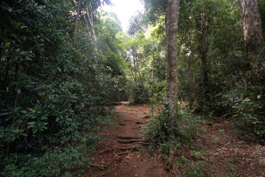 Montagne d'Ambre