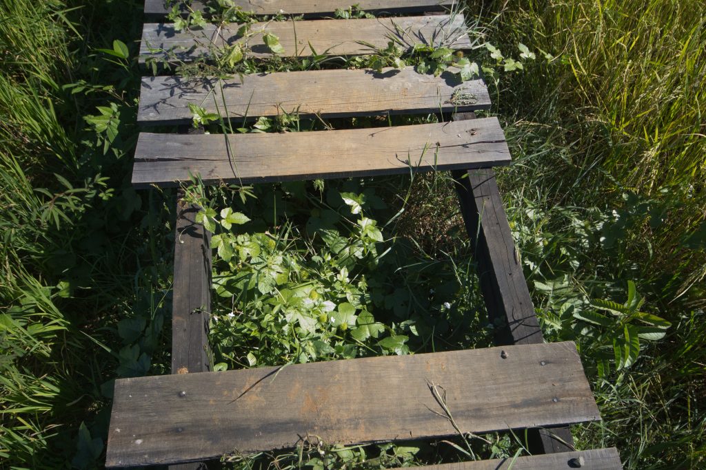 Brücke in Ankarafantsika