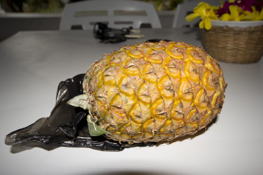 Ananas in Maroantsetra