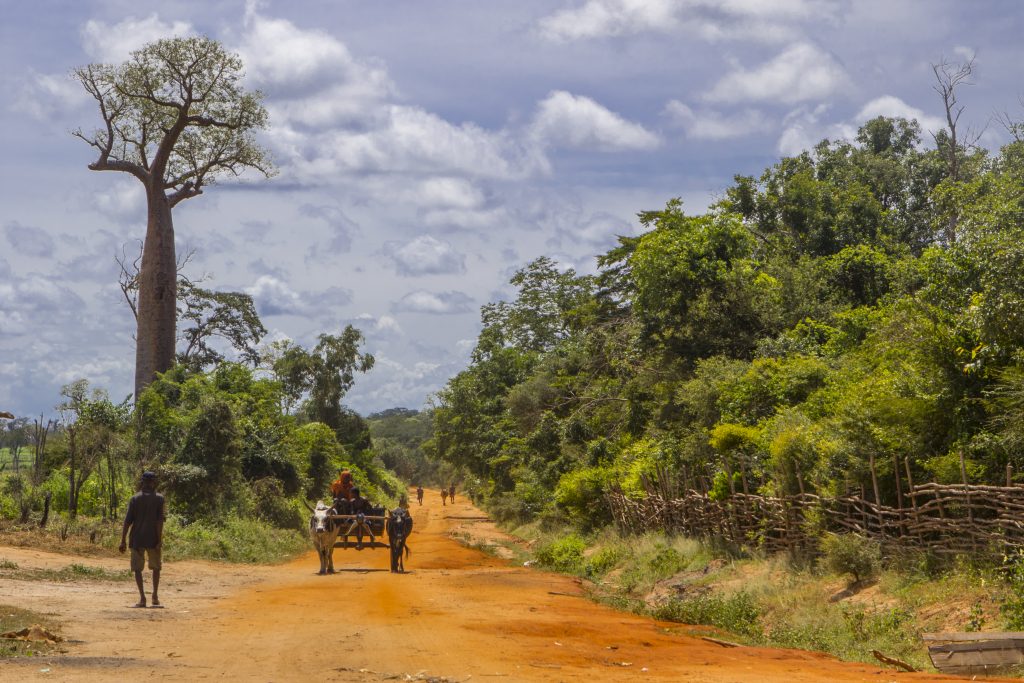 Auf dem Weg nach Kirindy