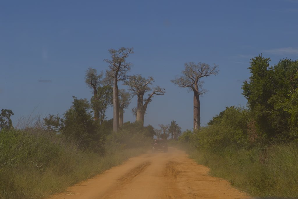 Morondava