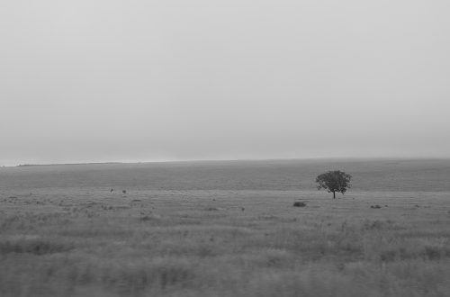 Ihorombe-Ebene