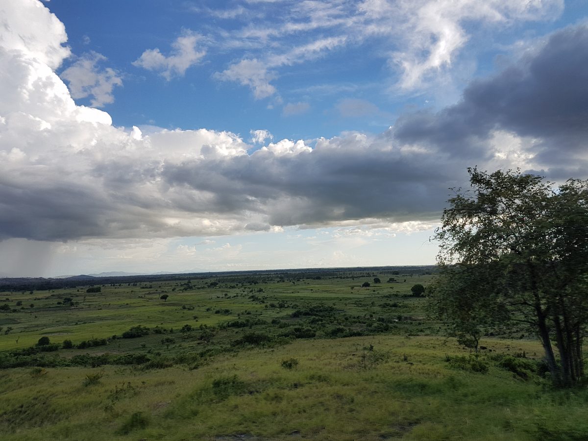 Auf dem Weg nach Ankarana