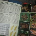 Fieldguides