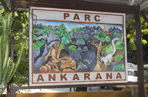 Ankarana