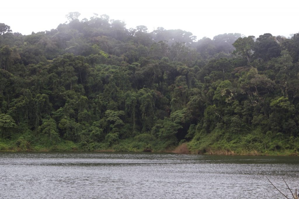 Montagne d'Ambre