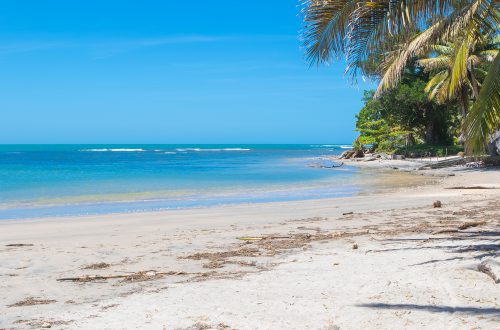 Mahambo