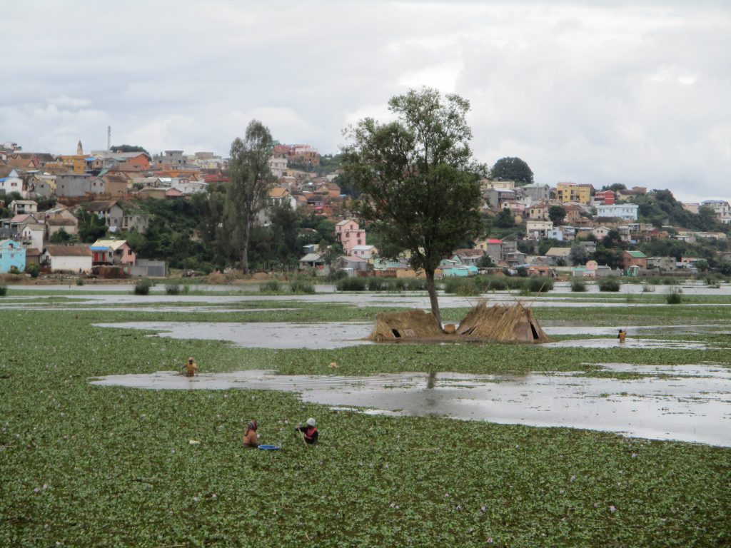 Antananarivo