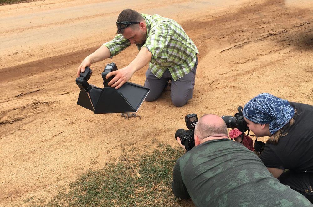 Fotografieren im Staub