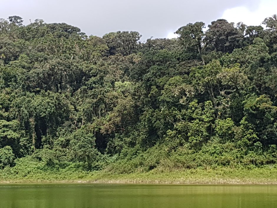 Montagne d'Ambre