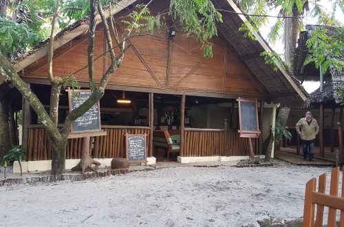 Palmarium