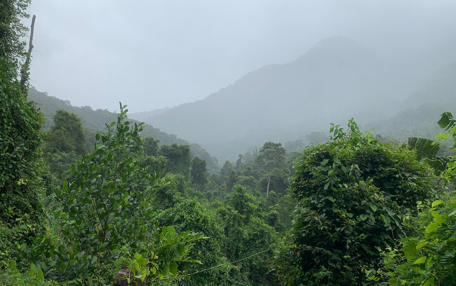 Nieselregen und rutschige Wege        